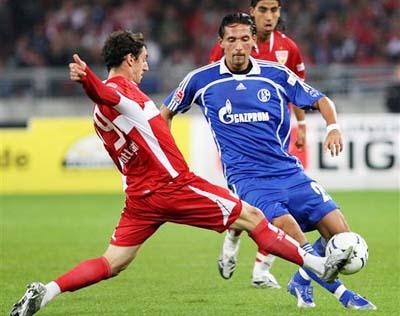 他们拥有强 他们拥有强